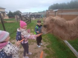 56837688112857209833558477470796231735680543n